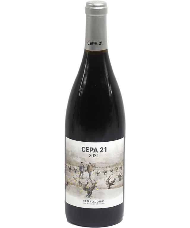 CEPA 21 2021