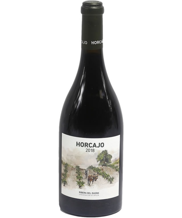 CEPA 21 HORCAJO 2018